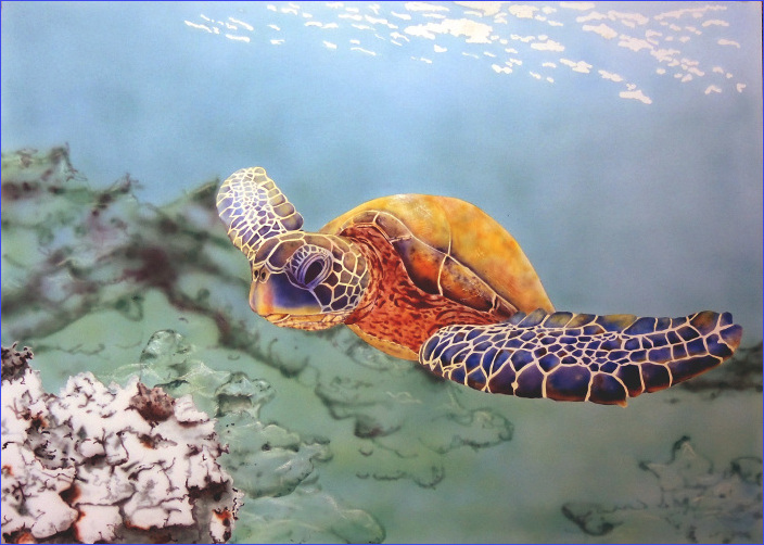Meeresschidkröte